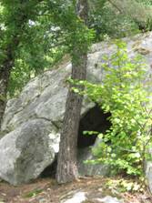 Höhleneingang und Baum